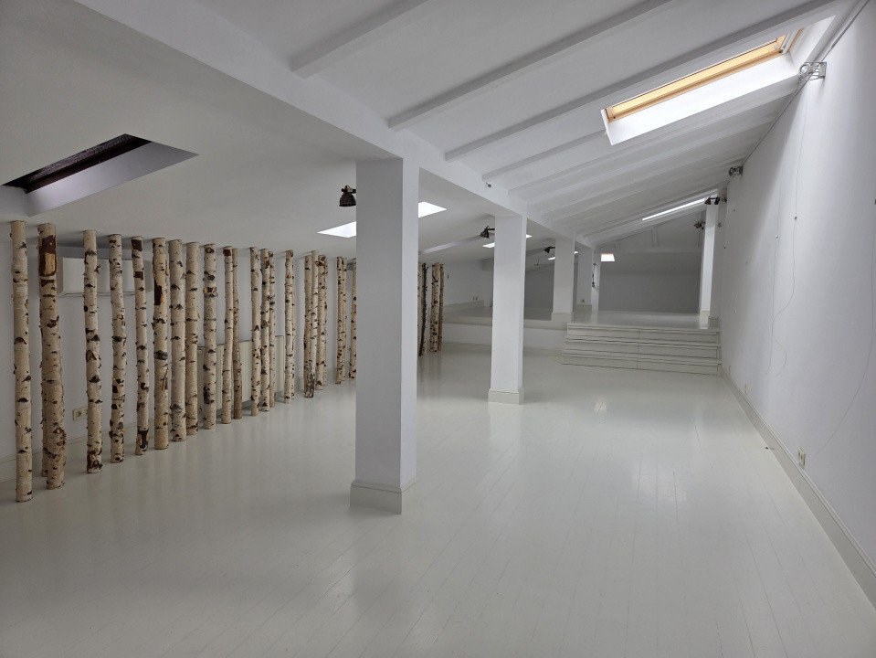 Vila interbelica de inchiriat/pretabila activitati comerciale/Victoriei