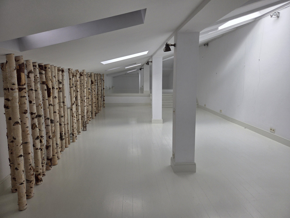 Vila interbelica de inchiriat/pretabila activitati comerciale/Victoriei