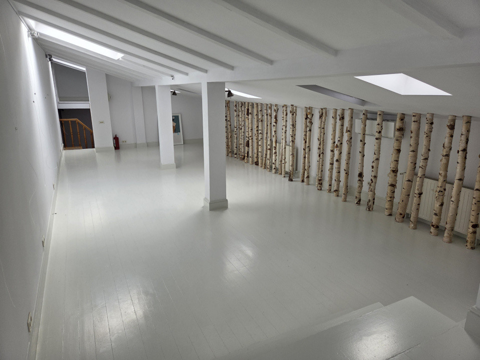 Vila interbelica de inchiriat/pretabila activitati comerciale/Victoriei