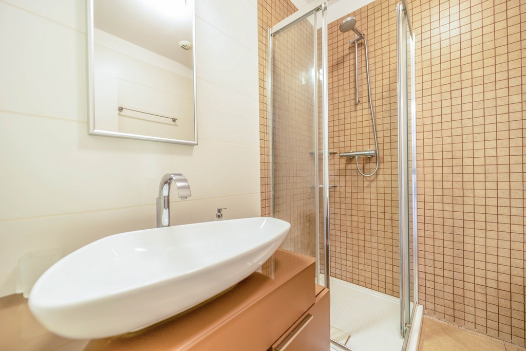 Beautiful and bright apartment, close to Kiseleff Park