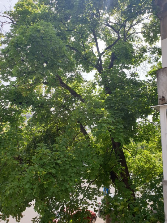 Beautiful and cozy 3 bedrooms apartment, in a small villa, Capitale area