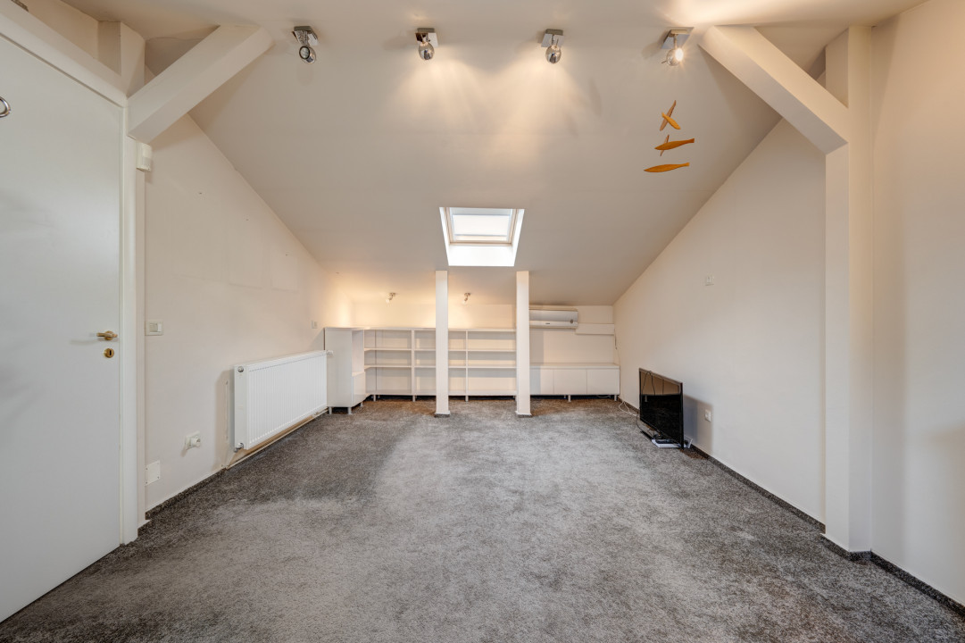 Vila spatioasa si luminoasa, in zona Floreasca