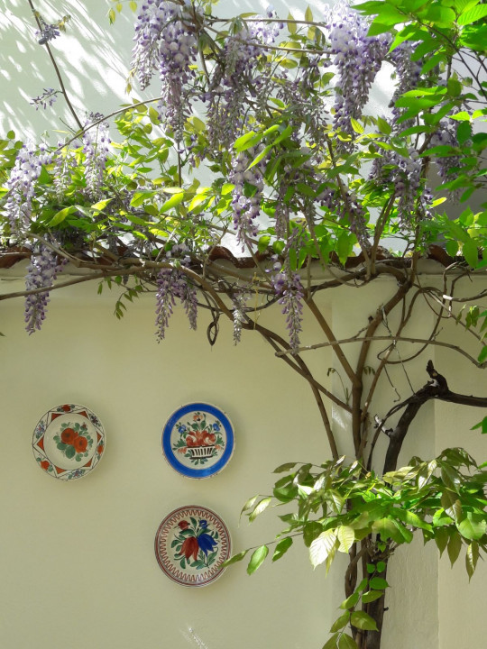 Vila spatioasa si luminoasa, in zona Floreasca