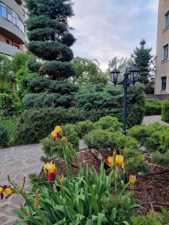 Apartament cochet, cu parcare subterana si boxa, in Jupiter Residence