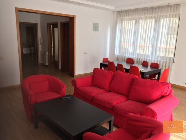 Spacious villa next to Herastrau Park