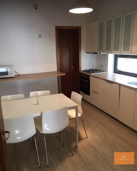 Spacious villa next to Herastrau Park