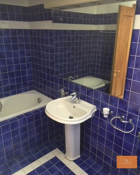 Spacious villa next to Herastrau Park