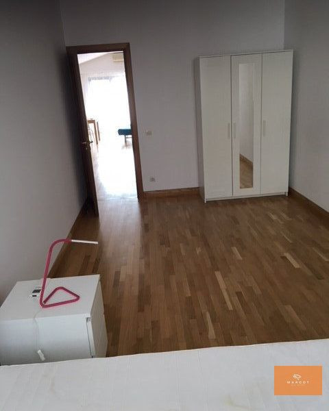 Spacious villa next to Herastrau Park