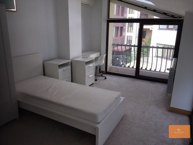 Spacious villa next to Herastrau Park