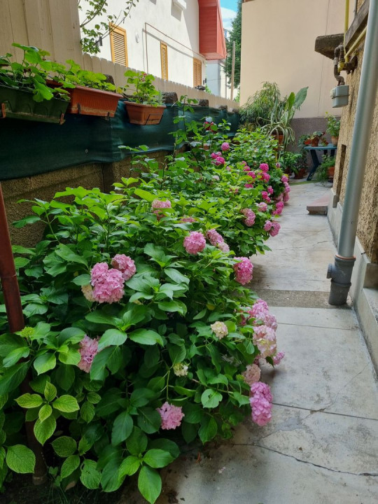 Beautiful 2 bedrooms apartment in Cotroceni