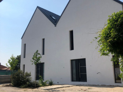 Vila in stil scandinav