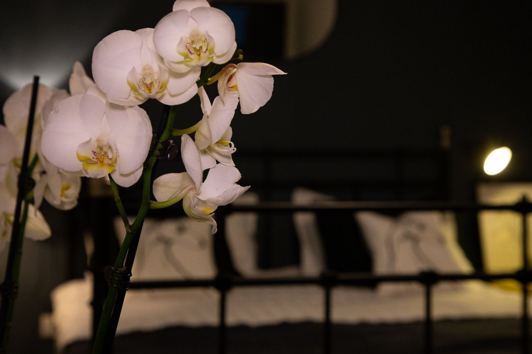 Apartament cochet, in bloc nou, langa Casa Poporului