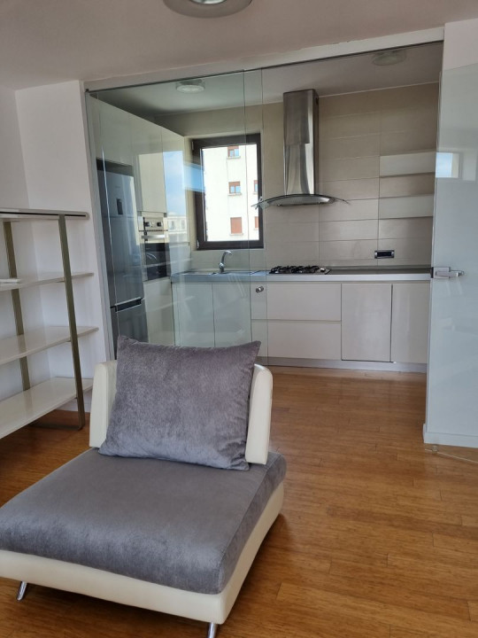 Penthouse next to Herastrau Park, on a quiet street