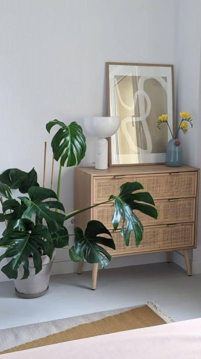 Beautiful and cozy,  Floreasca area