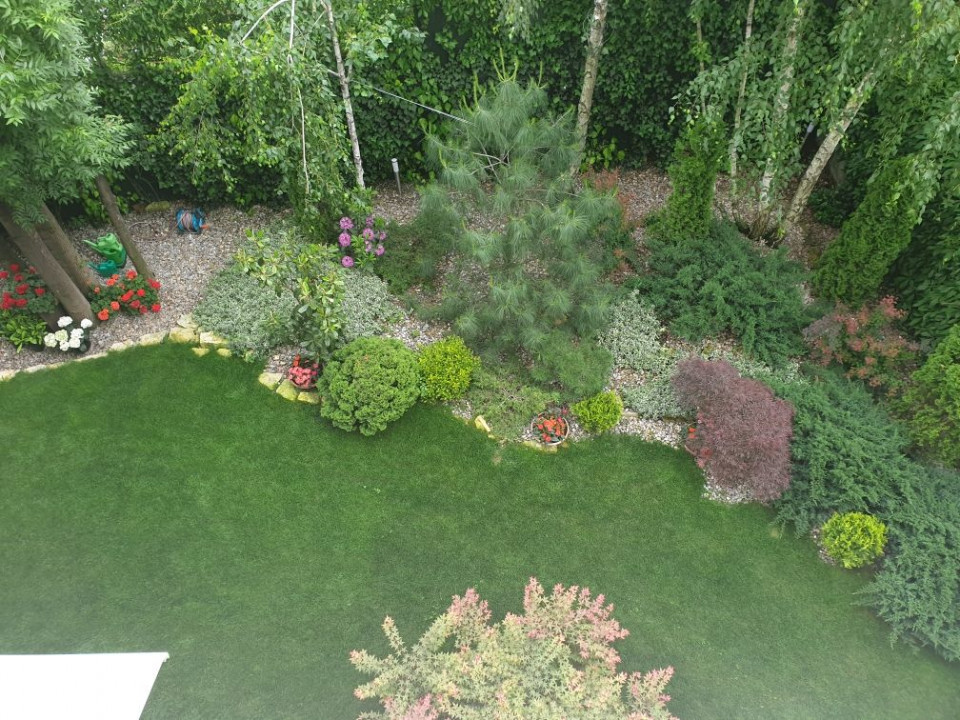 Delightful apartment, great vibes, lot of light and green view