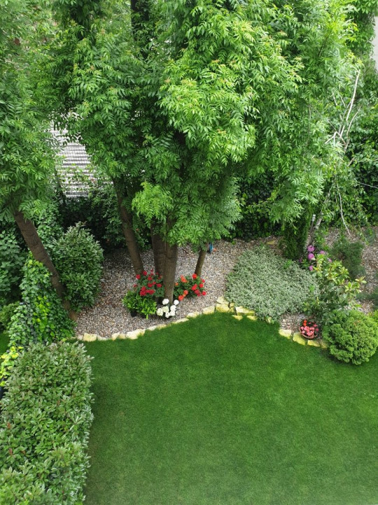 Delightful apartment, great vibes, lot of light and green view